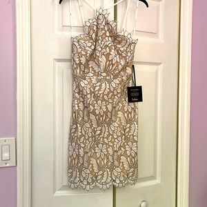 Delicate Darling Beige and Ivory Lace Bodycon Dress